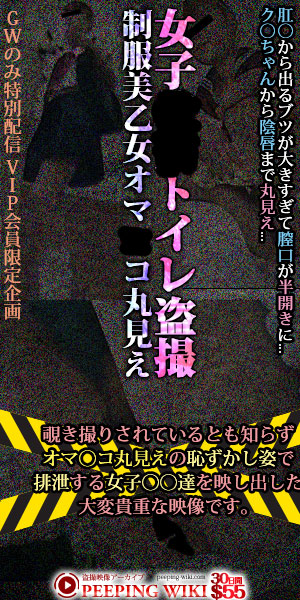 盗撮映像アーカイブ PEEPING WIKI
