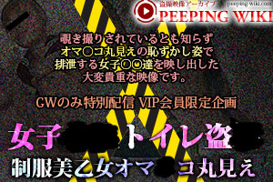 盗撮映像アーカイブ PEEPING WIKI